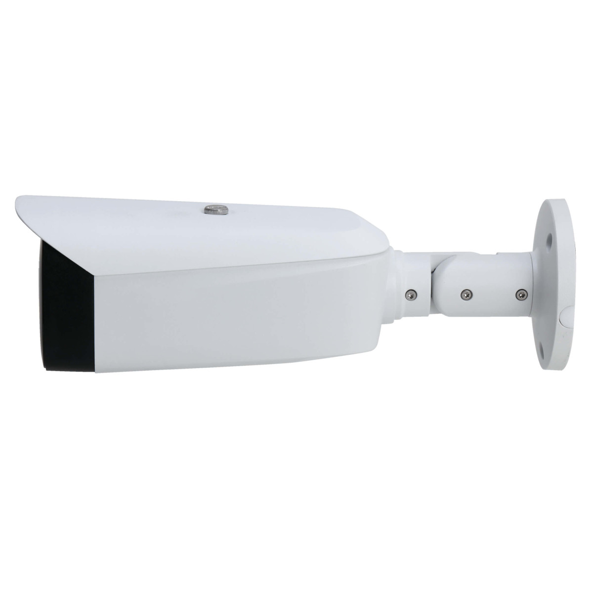 goliath_AV-IP250_IP-Kamera